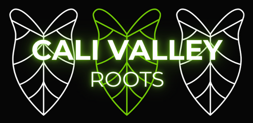 Cali Valley Roots